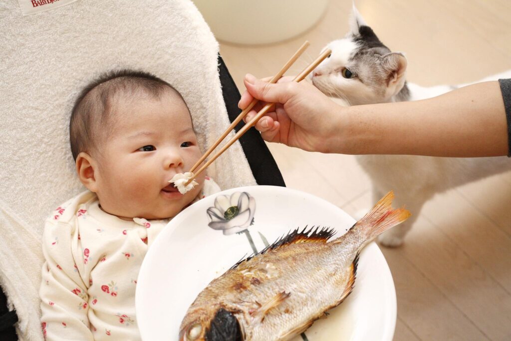 Kandungan ikan baik untuk bayi, termasuk untuk giginya. Sumber Momyasia