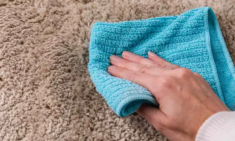 Menggunakan lap, Sumber: gstatic.com